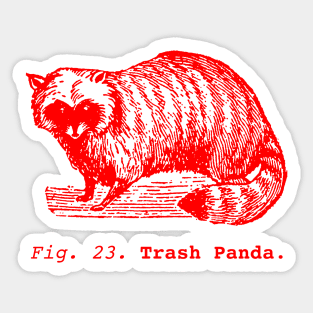 Trash Panda / Science Raccoon / Red edition. Sticker